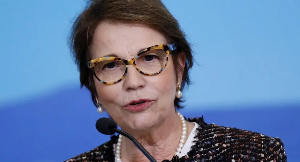 Plano de Fertilizantes não saiu do papel como esperado pela senadora