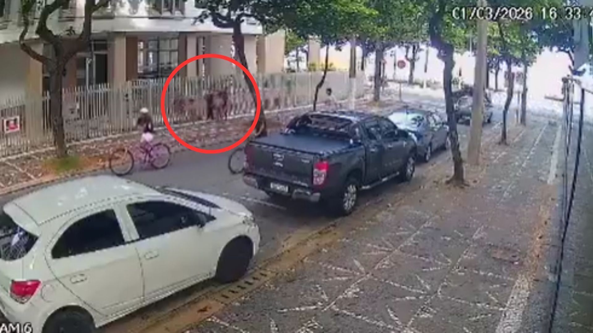 Bandidos abordam mulheres com crianças no litoral de SP; assista ao vídeo