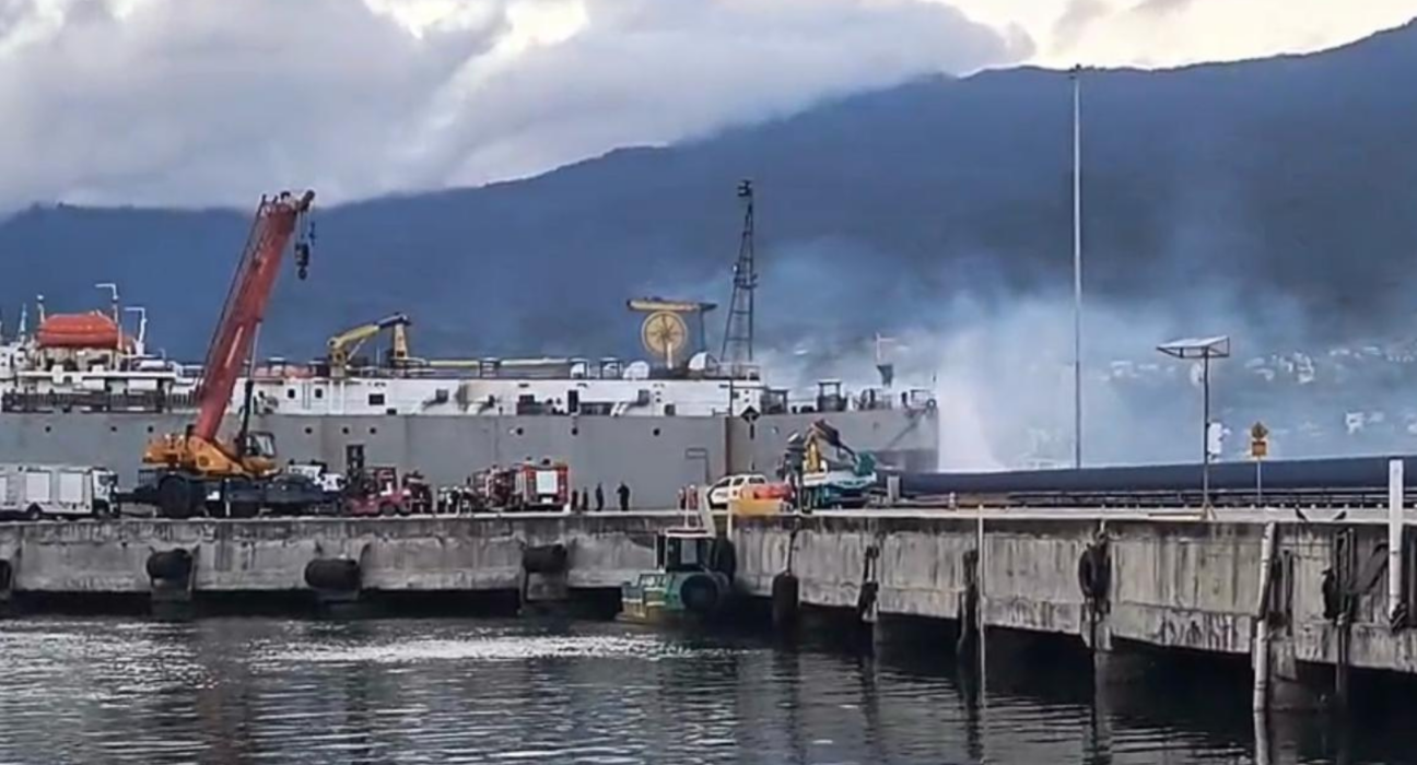 Navio com gado pega fogo no Porto de São Sebastião, SP: entenda o caso