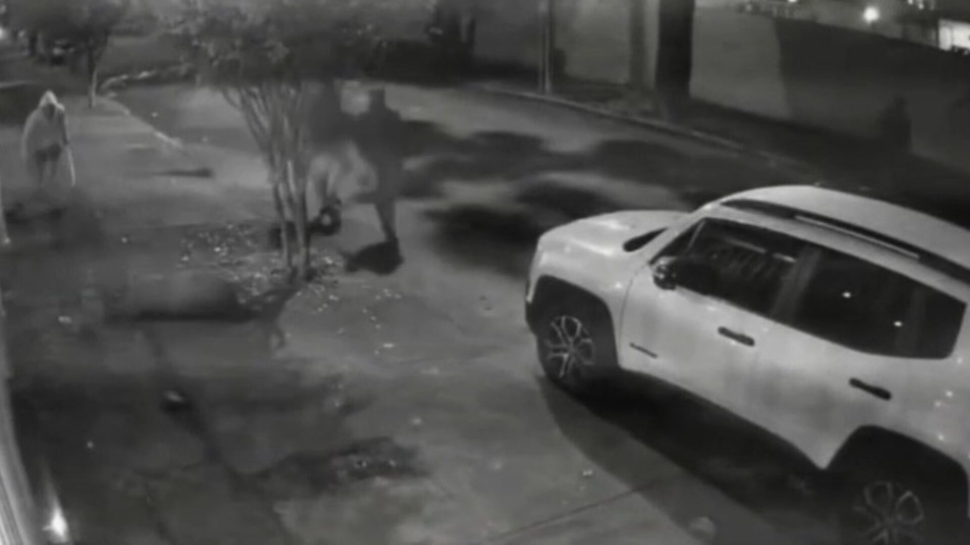 Seis homens são presos após atacarem uma capivara no Rio