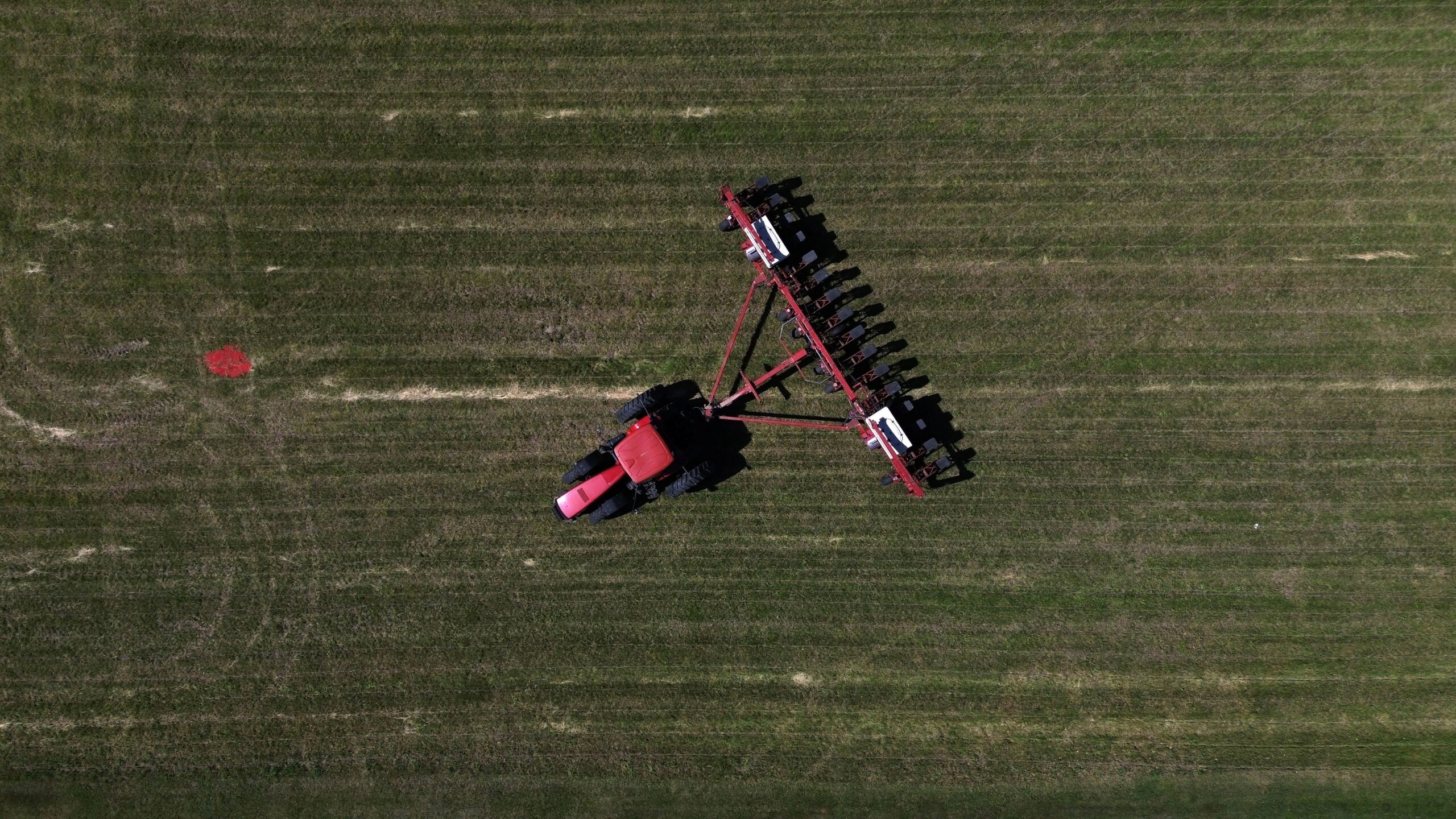 Plano Safra 2025/26: Entenda o Desembolso de 55% dos Recursos