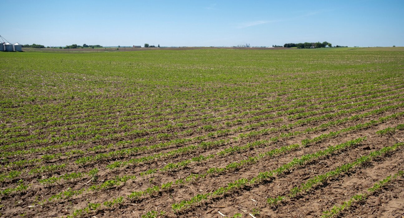 Agroconsult revisa safra de soja para recorde de 183,1 milhões de toneladas