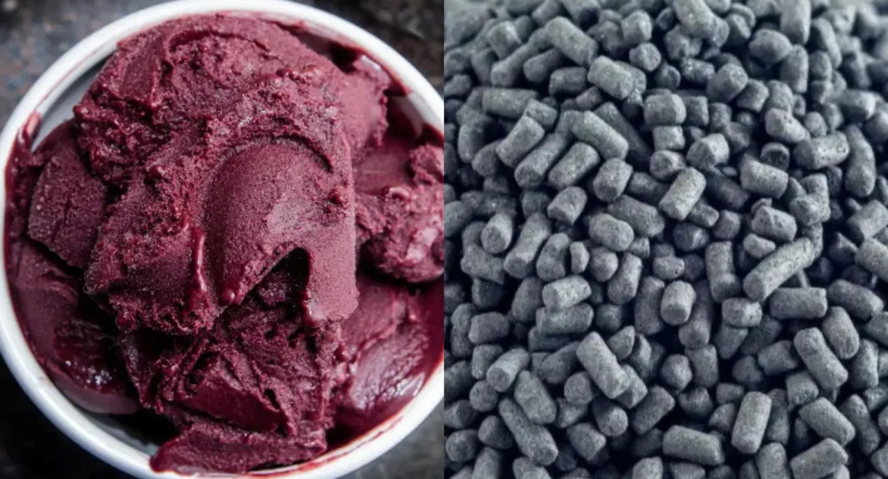 Mulher que tentou matar companheiro com açaí envenenado é presa