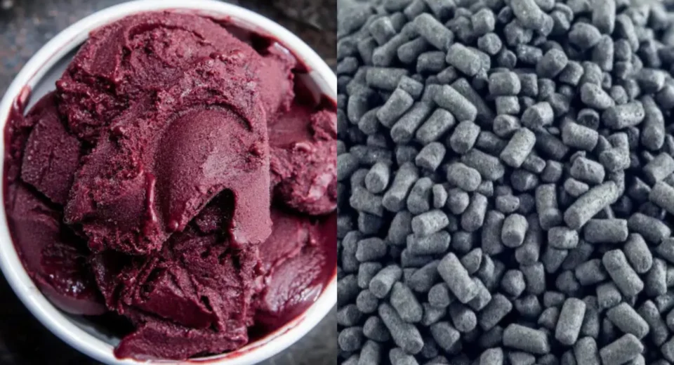 Mulher que tentou matar companheiro com açaí envenenado é presa