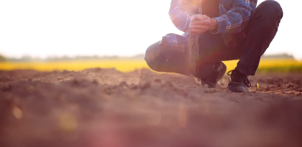 Agrishow: Produtor de São Paulo busca proteção contra o clima