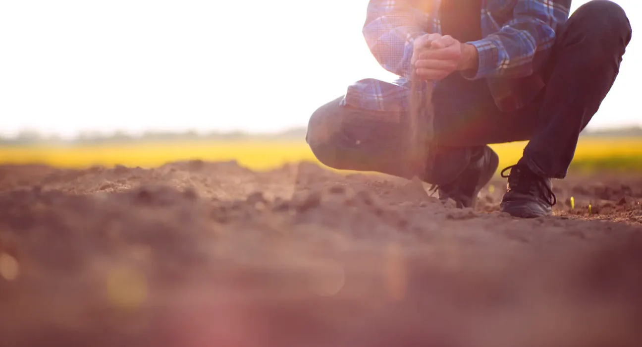 Agrishow: Produtor de São Paulo busca proteção contra o clima