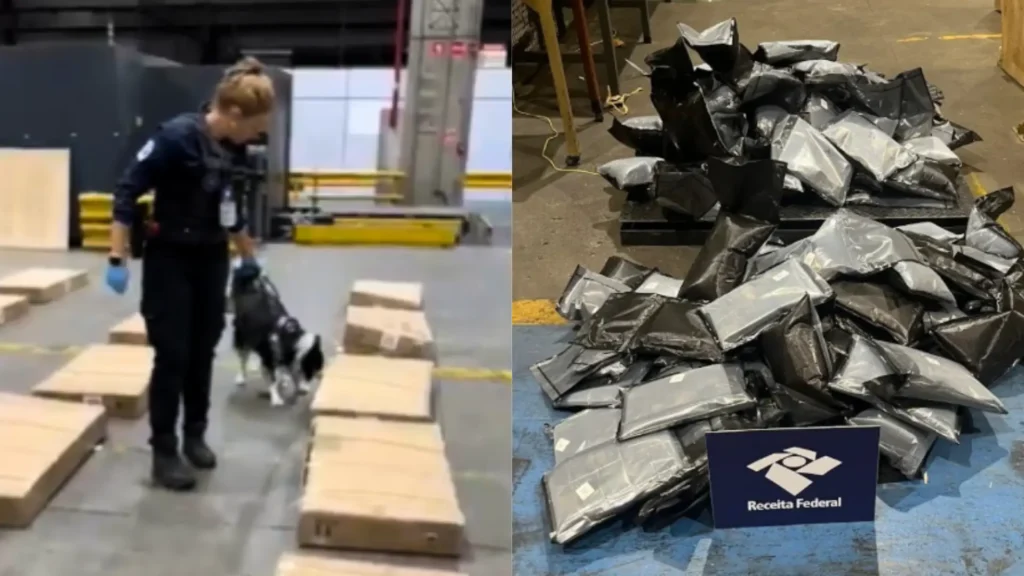 Mais de 280 kg de haxixe apreendidos no aeroporto de SP