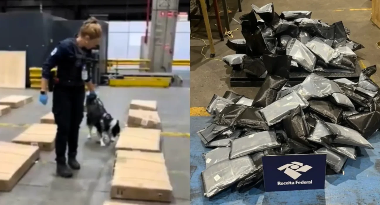 Mais de 280 kg de haxixe apreendidos no aeroporto de SP