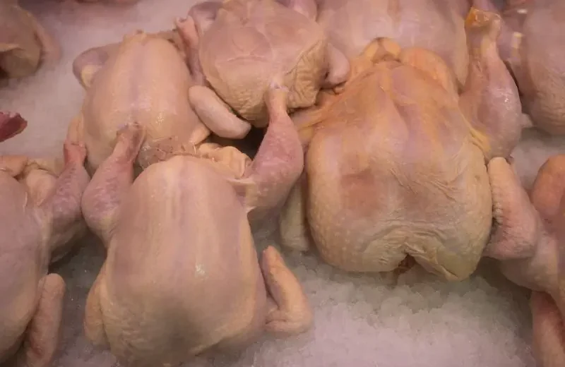 Exportações de carne de frango crescem 6% em março e lucram