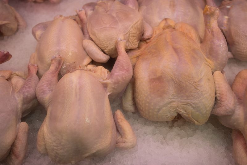 Exportações de carne de frango crescem 6% em março e lucram