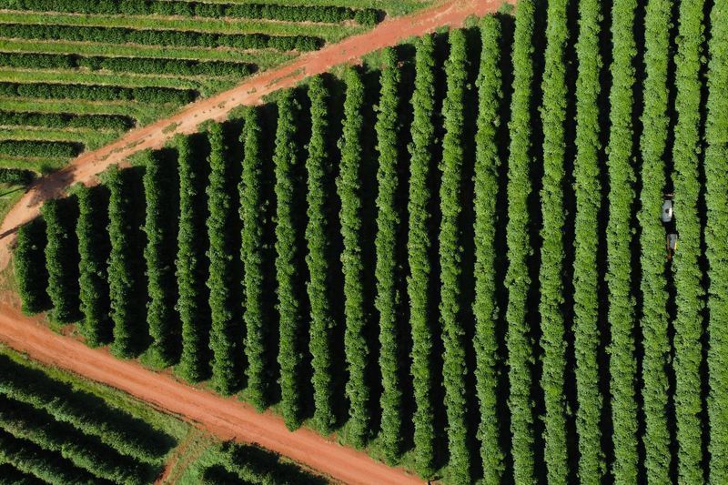 Preços pagos ao produtor caem quase 10% no primeiro trimestre