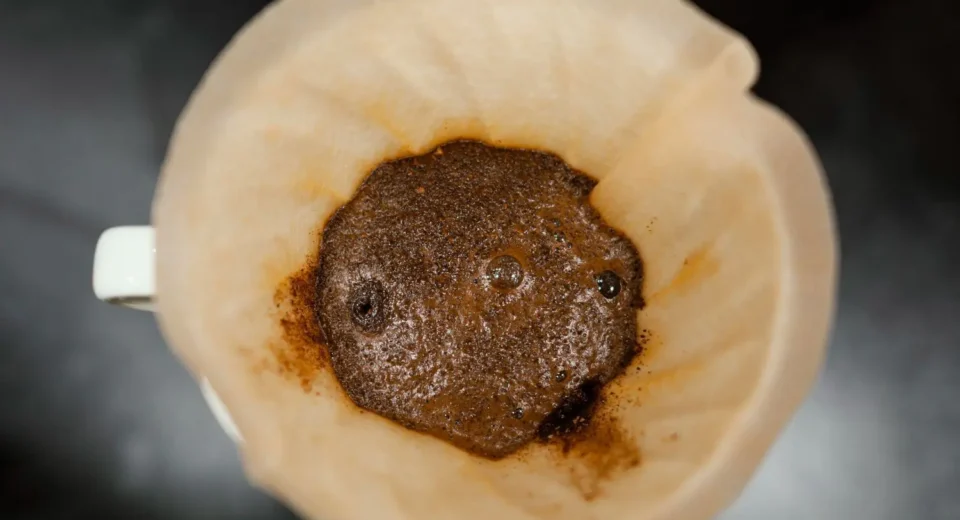 Consumo de café e biscoitos impulsiona vendas na Bélgica