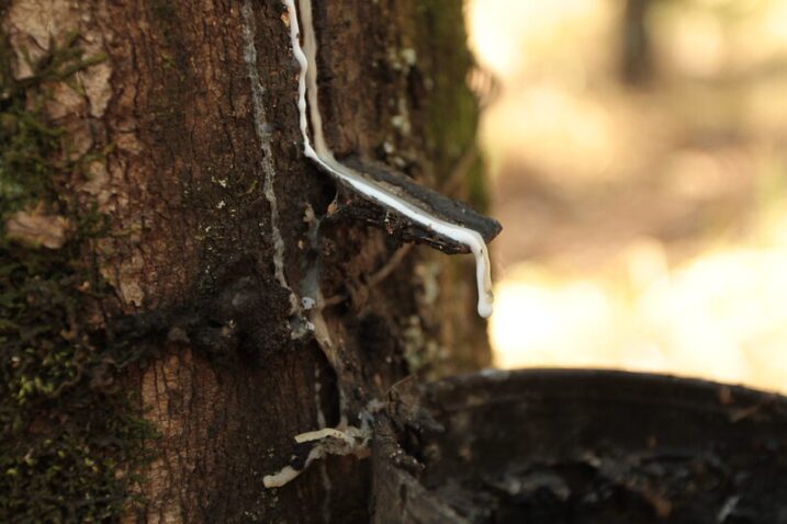 Preço para importação de borracha natural aumenta em 9,6%