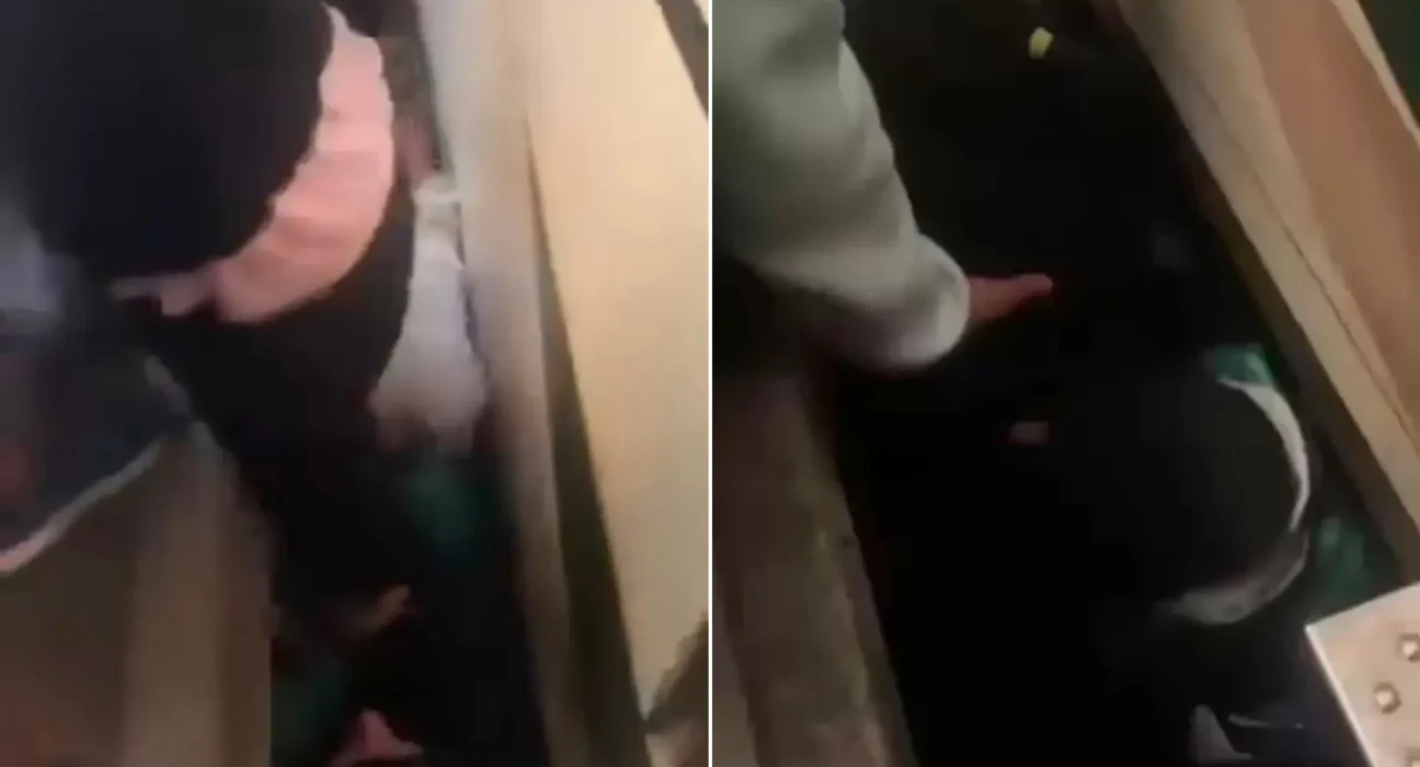 Mulher cai em vão entre trem e plataforma na Linha 9-Esmeralda