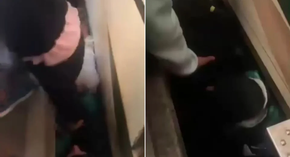 Mulher cai em vão entre trem e plataforma na Linha 9-Esmeralda