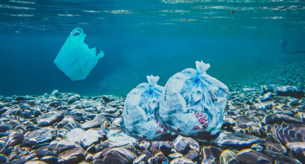 Poluentes contaminam animais de águas profundas no Brasil: estudo revela riscos