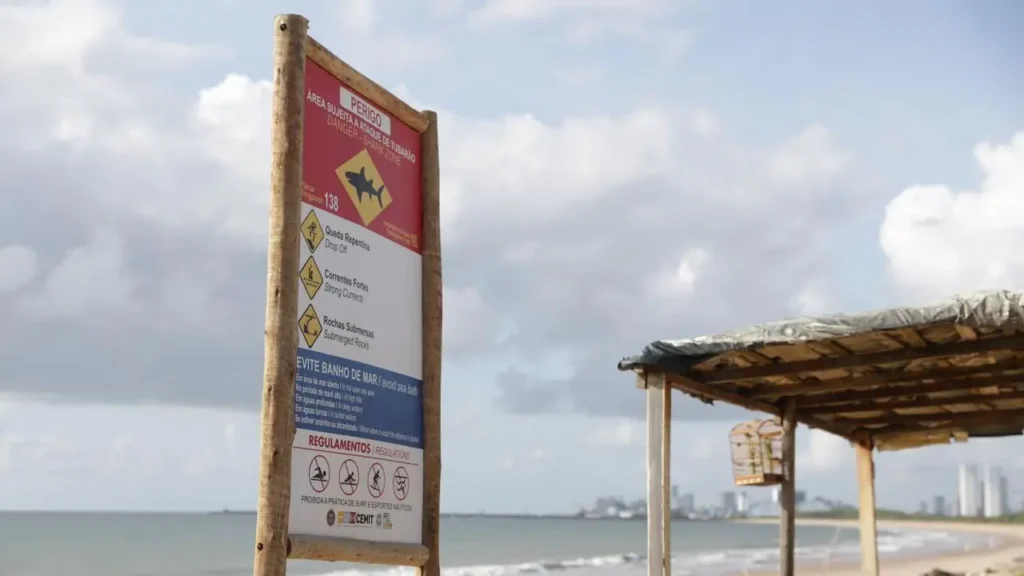 Ataques de tubarão em Recife: vítimas superam desafios na UTI