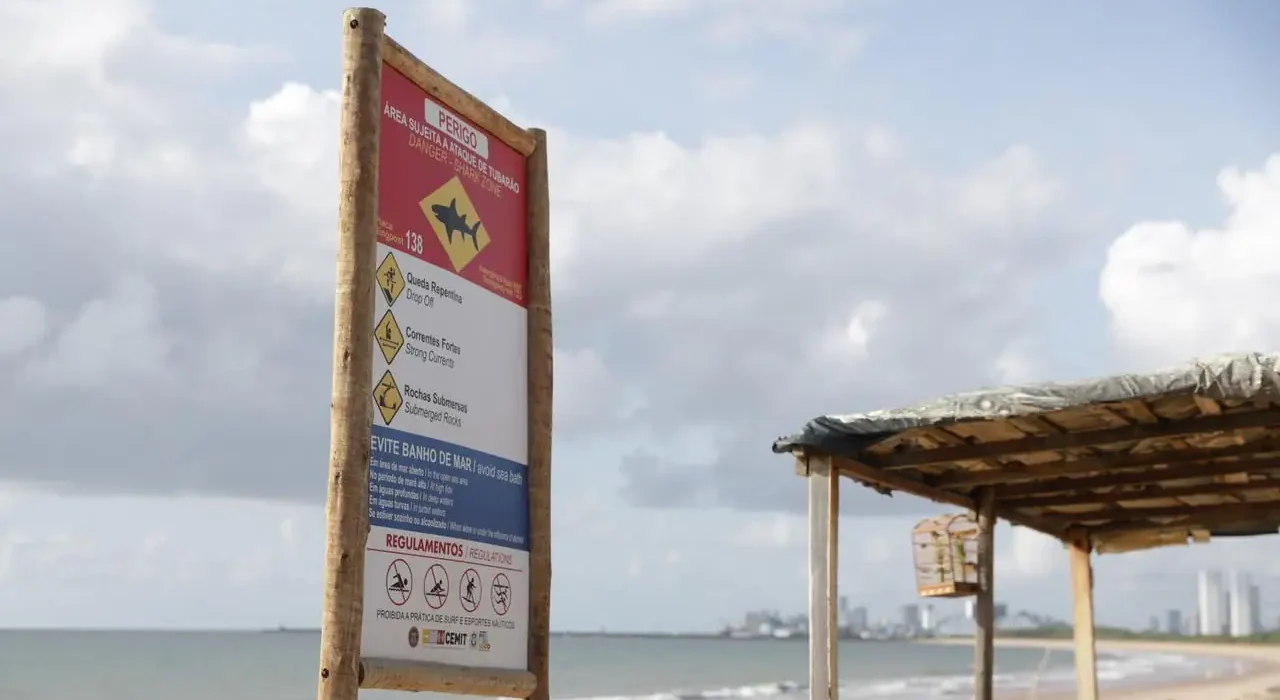 Ataques de tubarão em Recife: vítimas superam desafios na UTI
