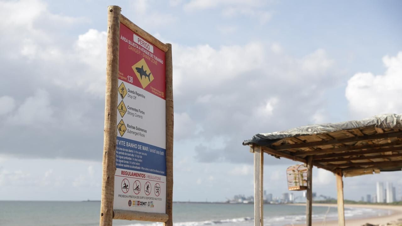 Ataques de tubarão em Recife: vítimas superam desafios na UTI