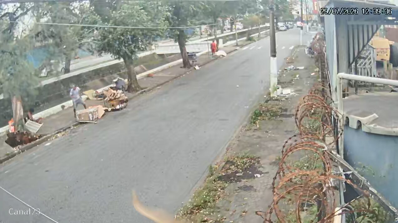 Atingido por árvore e naufrágio no litoral: vítimas em SP