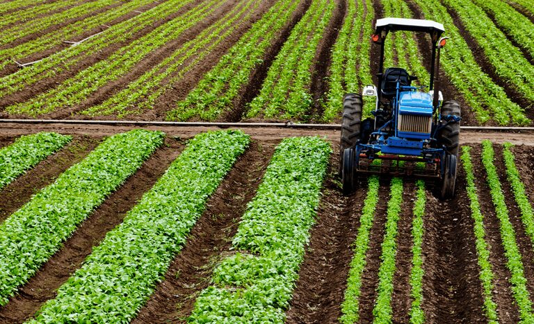 Preço dos alimentos deve ser impactado: entenda as mudanças