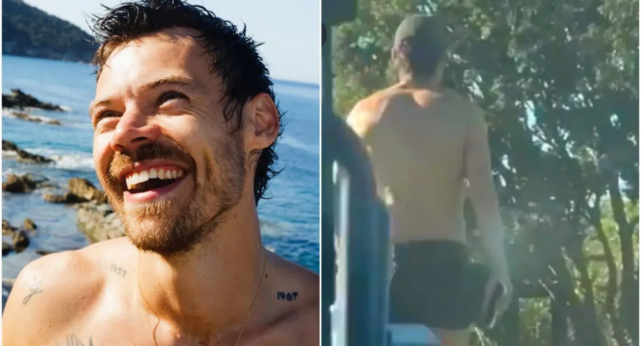 Fãs se revoltam com suposto vídeo de Harry Styles após cancelamento