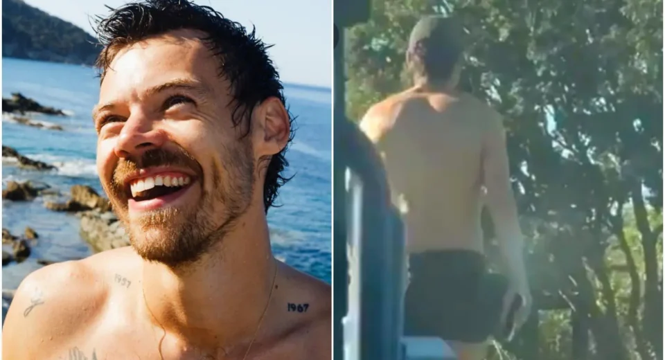 Fãs se revoltam com suposto vídeo de Harry Styles após cancelamento