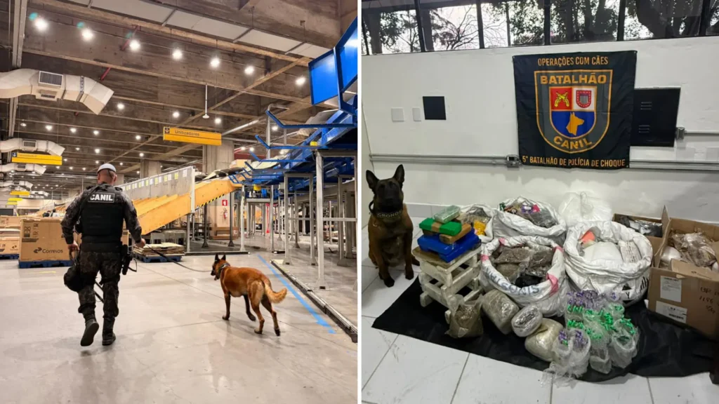 Operação em centros de distribuição dos Correios apreende 174 kg de drogas com eficiência