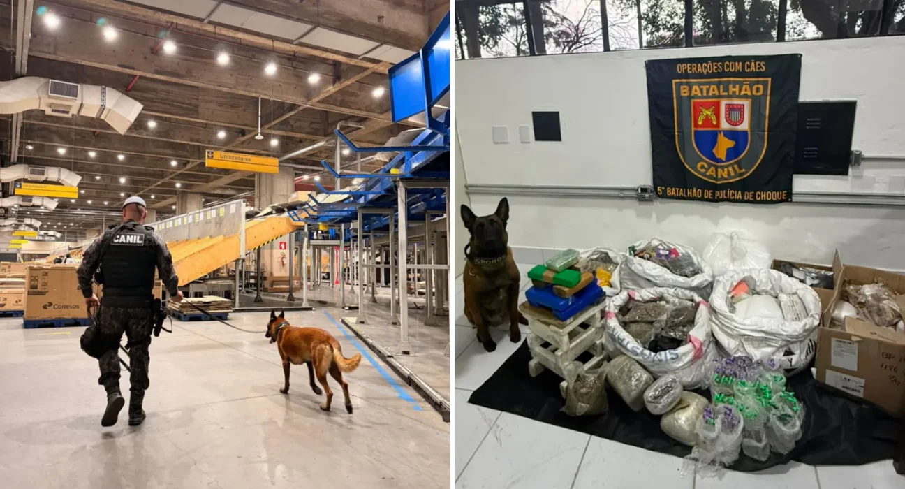 Operação em centros de distribuição dos Correios apreende 174 kg de drogas com eficiência