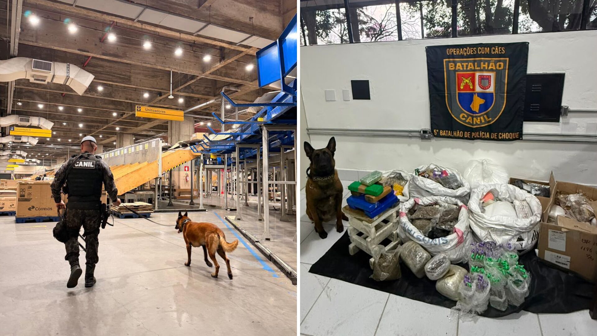 Operação em centros de distribuição dos Correios apreende 174 kg de drogas com eficiência