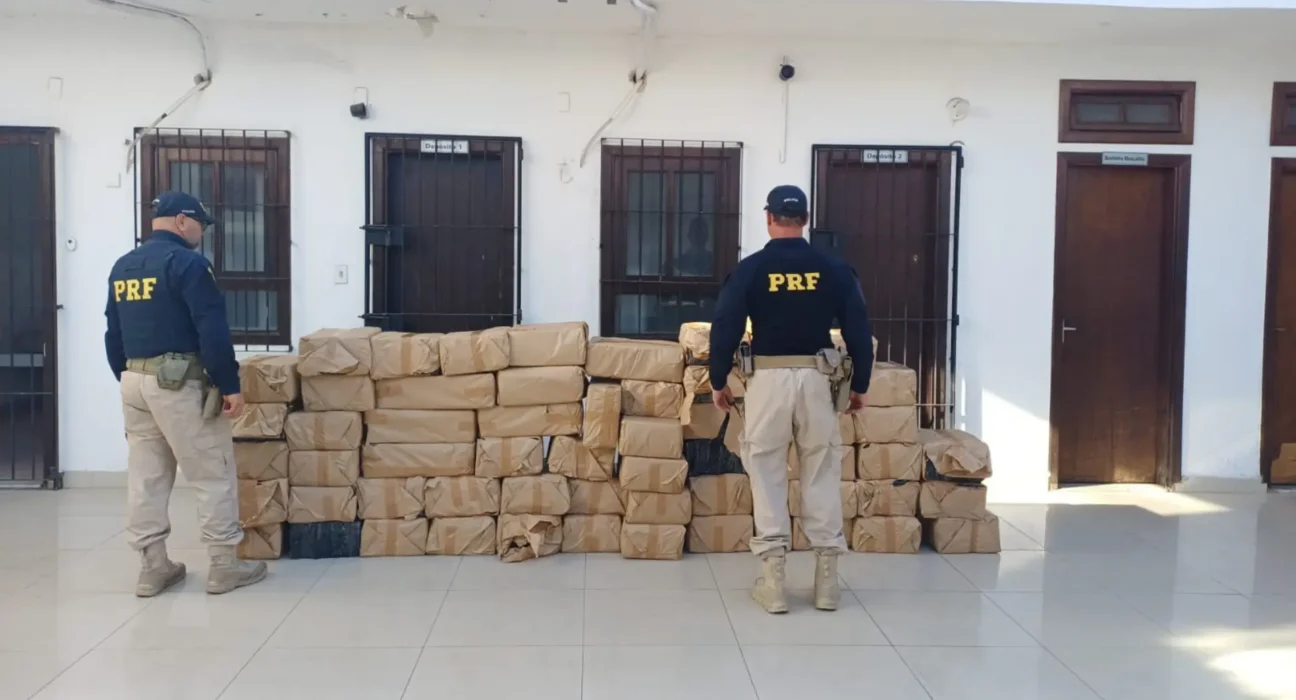 PRF apreende mais de uma tonelada de maconha na Dutra, SP