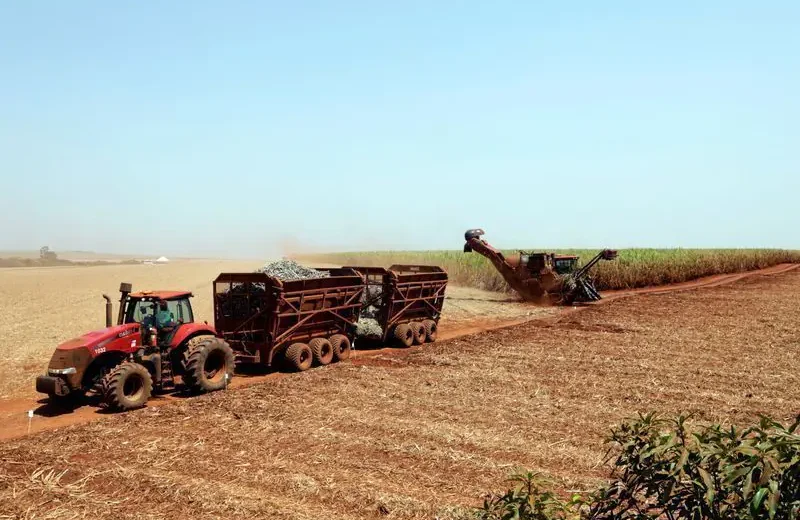 Clima, e não o preço, será fator determinante na produção agrícola.