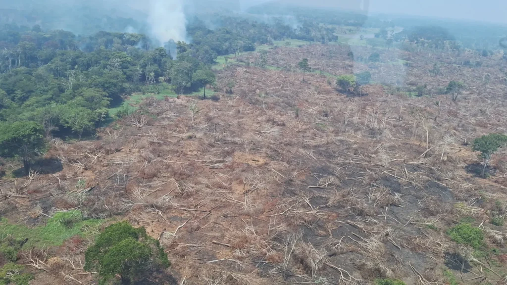 Incêndios no Amazonas: R$ 3,5 milhões para ajudar cidades afetadas