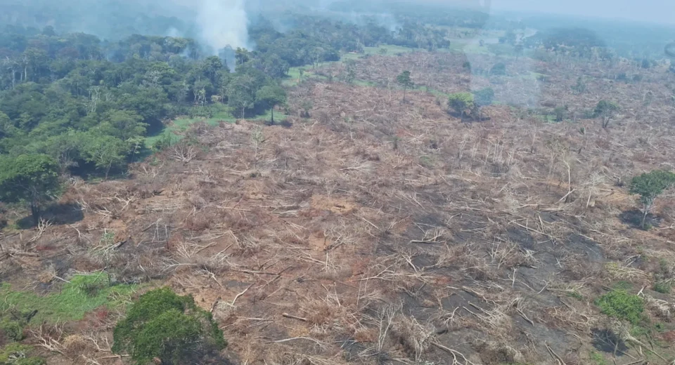 Incêndios no Amazonas: R$ 3,5 milhões para ajudar cidades afetadas