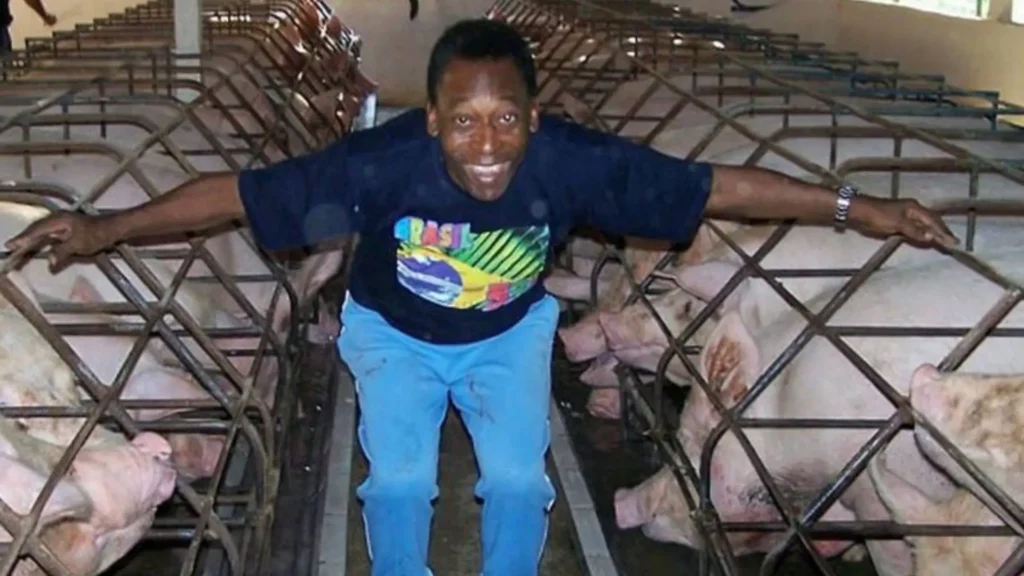 Fazenda de Pelé com 661 hectares à venda por R$ 35 milhões