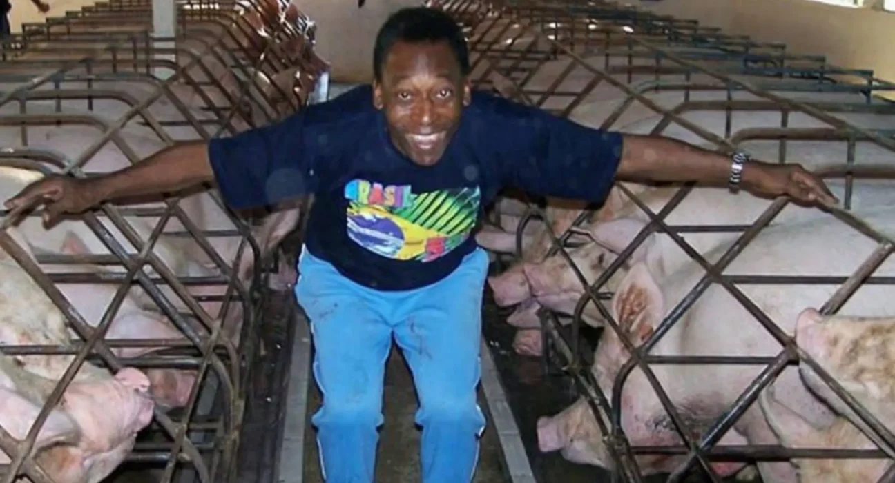 Fazenda de Pelé com 661 hectares à venda por R$ 35 milhões