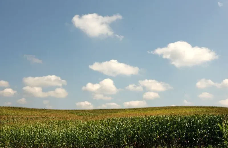CNA defende ajuste fiscal para fortalecer investimentos no agro