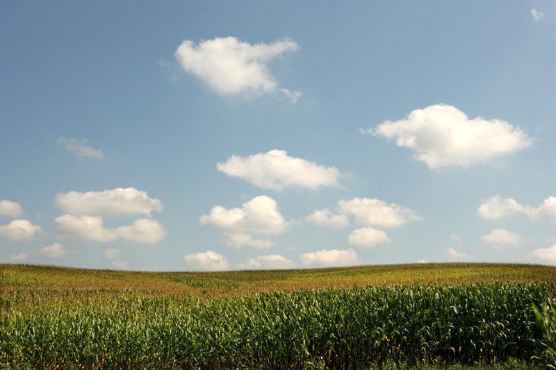 CNA defende ajuste fiscal para fortalecer investimentos no agro